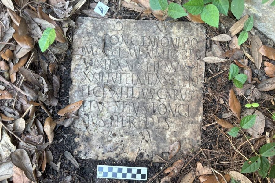 Una pareja encontró en su jardín de Nueva Orleans la antigua lápida romana bajo una maleza que llevaba seis años sin mantenimiento