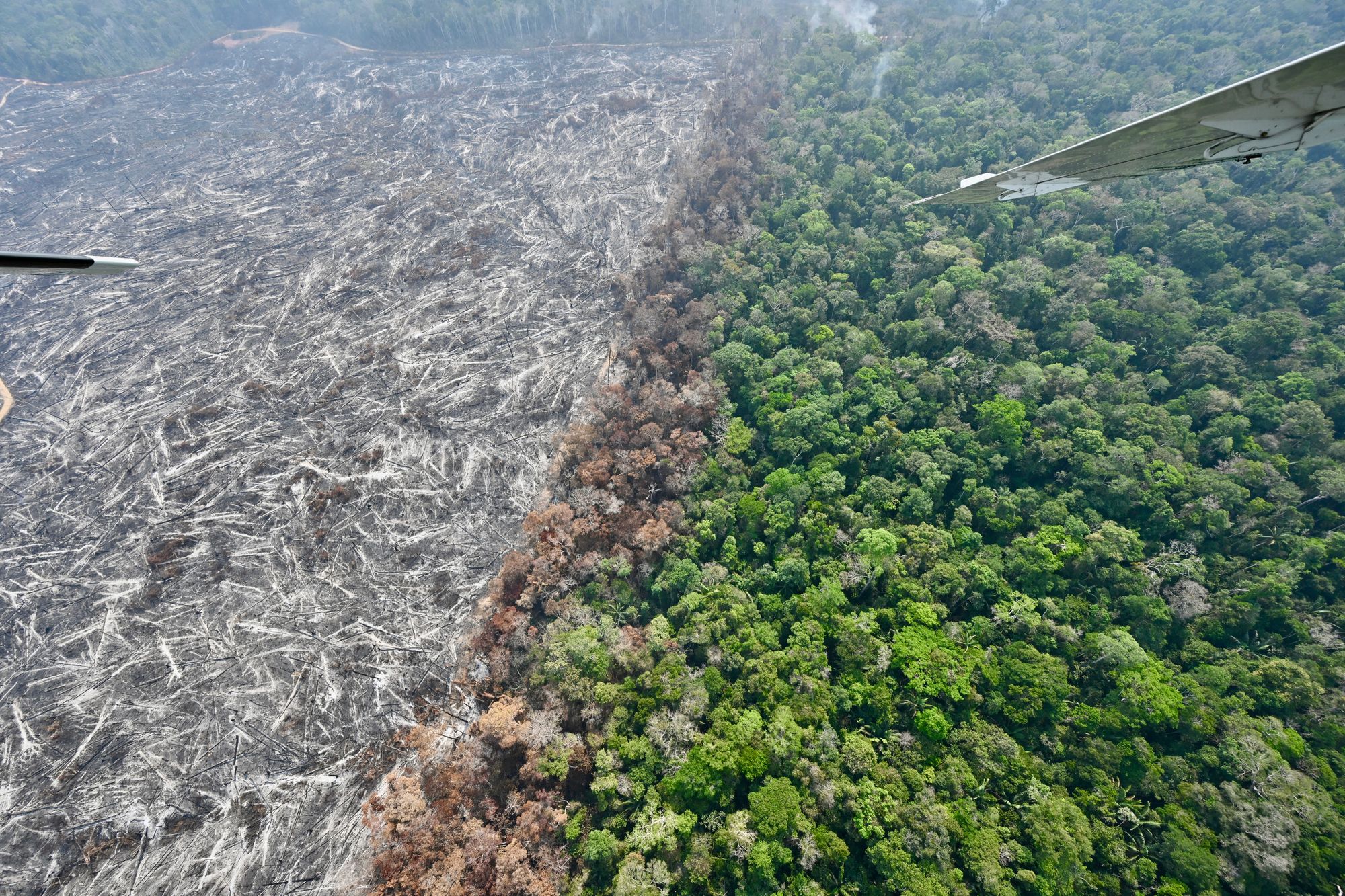 La Amazonía ha sido devastada por décadas de deforestación