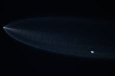 Los satélites Starlink de Elon Musk caen cada día y preocupan a científicos