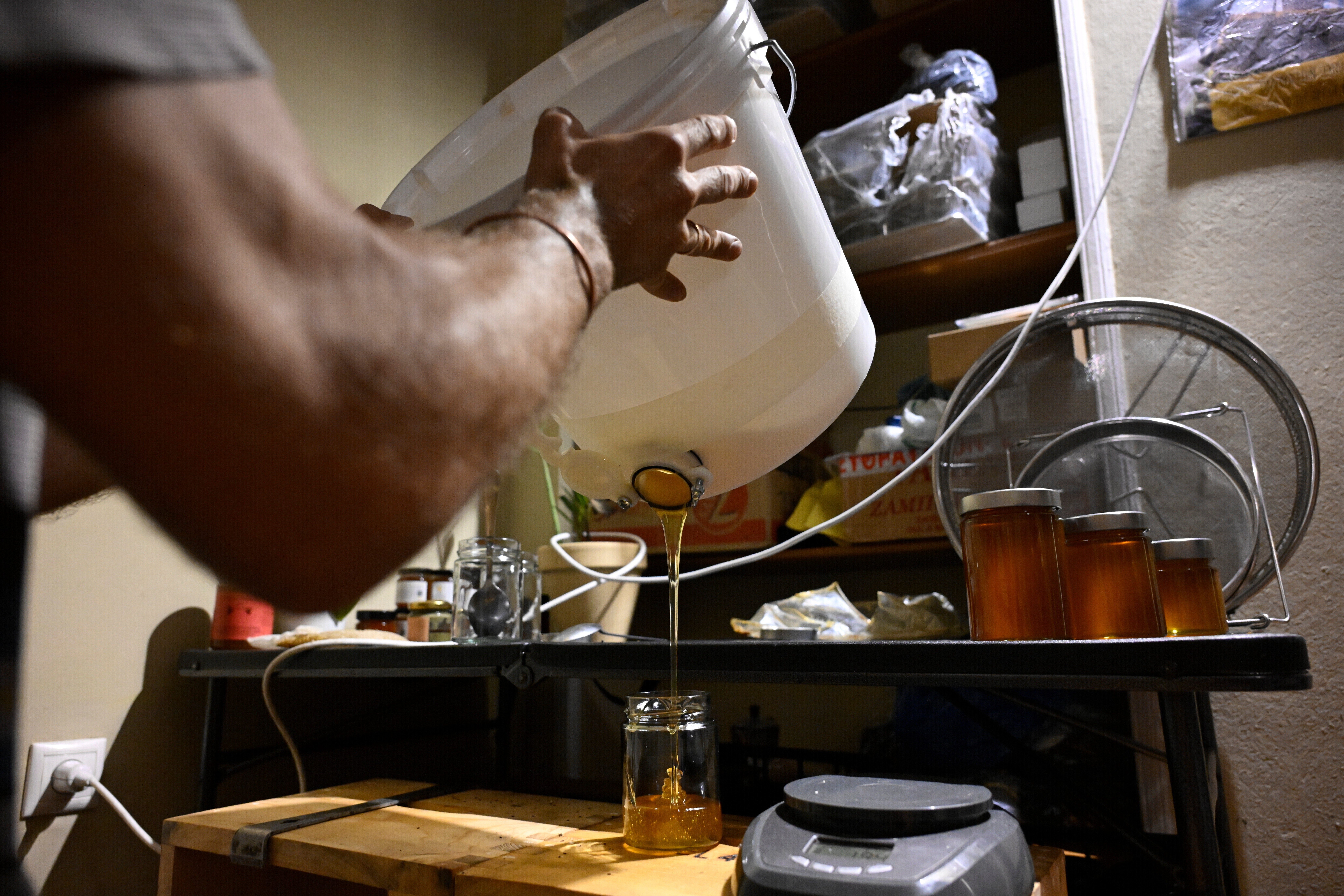 GRECIA-APICULTURA URBANA