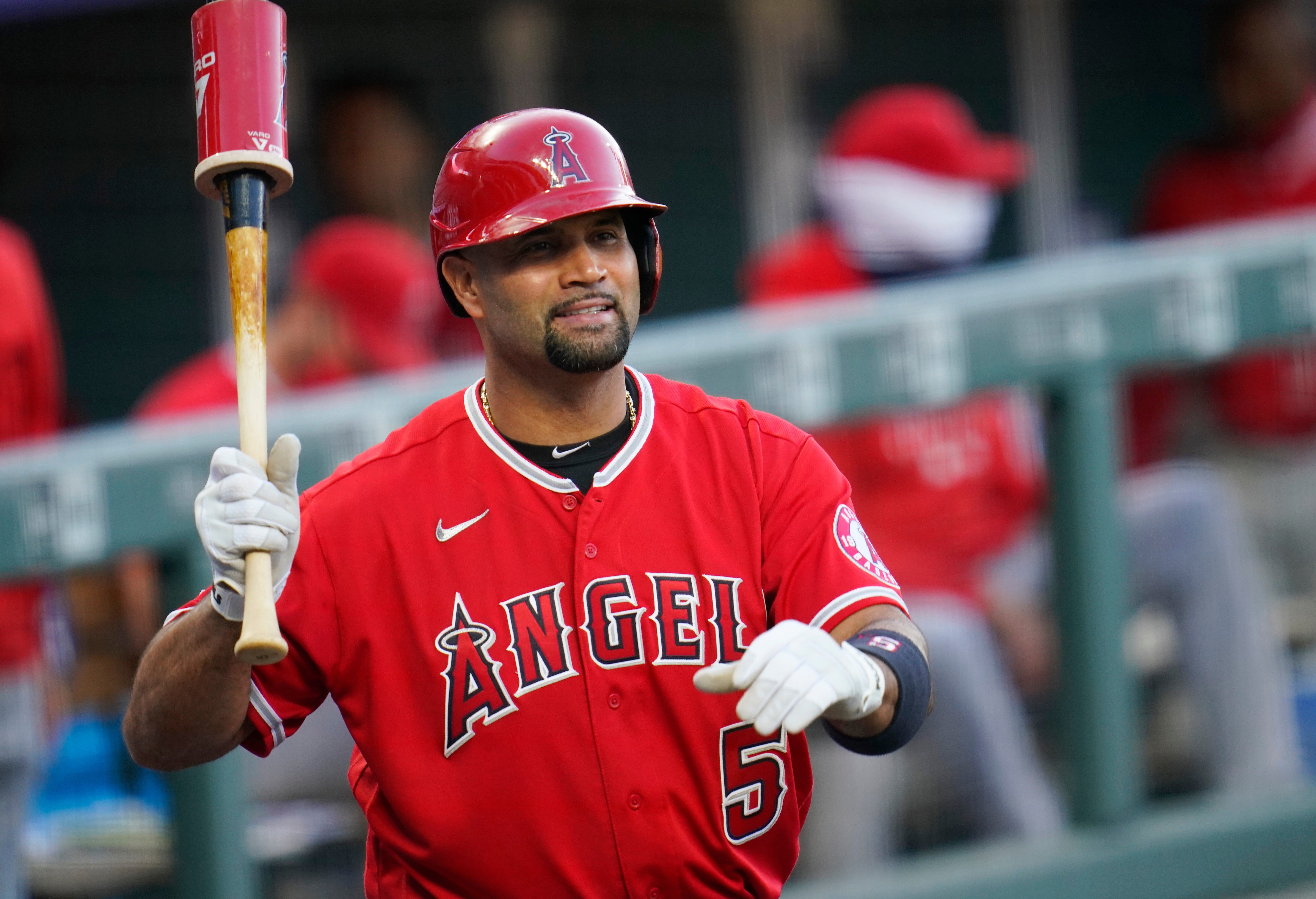 ANGELINOS-PUJOLS