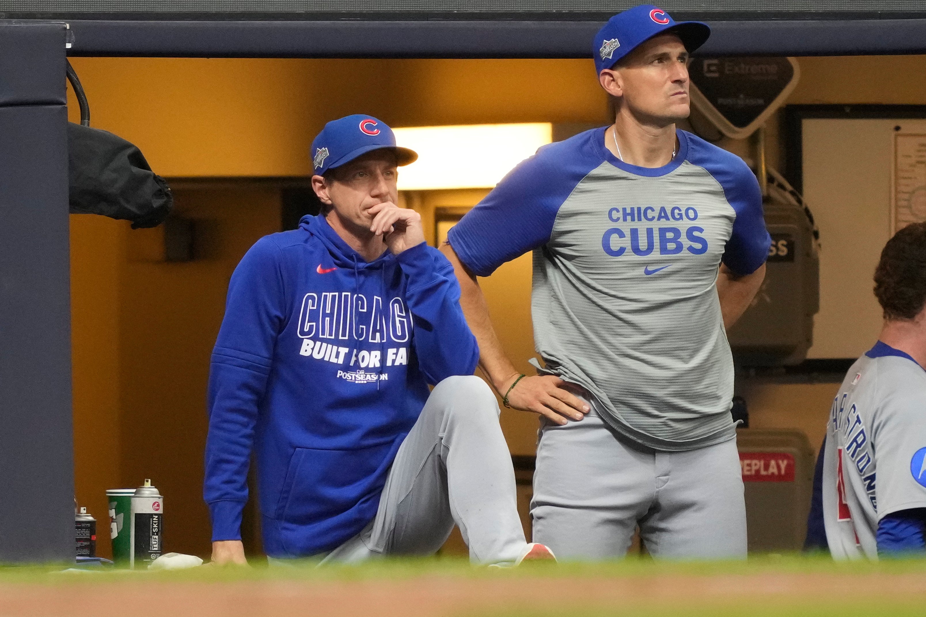 CACHORROS ELIMINADOS