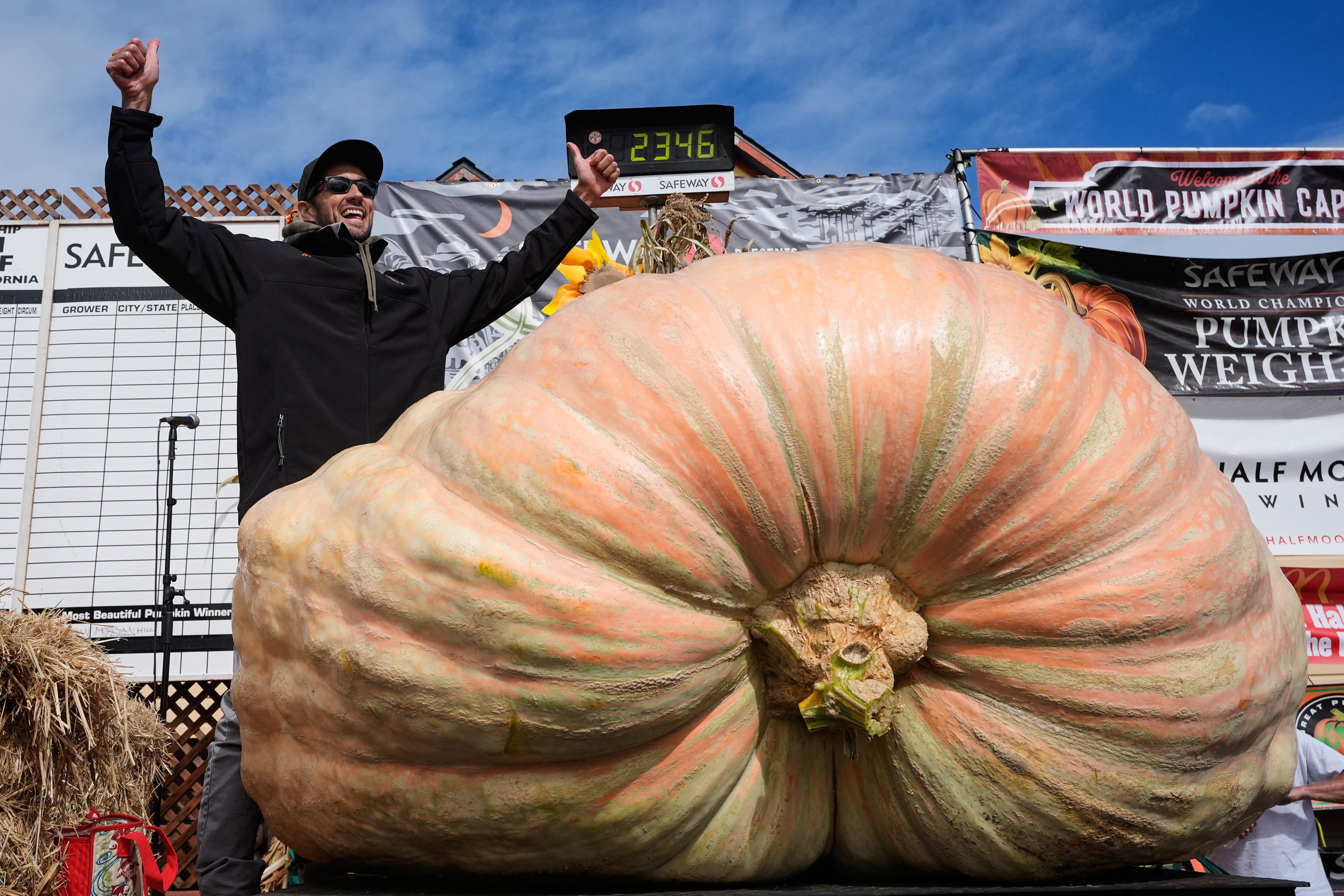 EEUU-CALABAZA GIGANTE