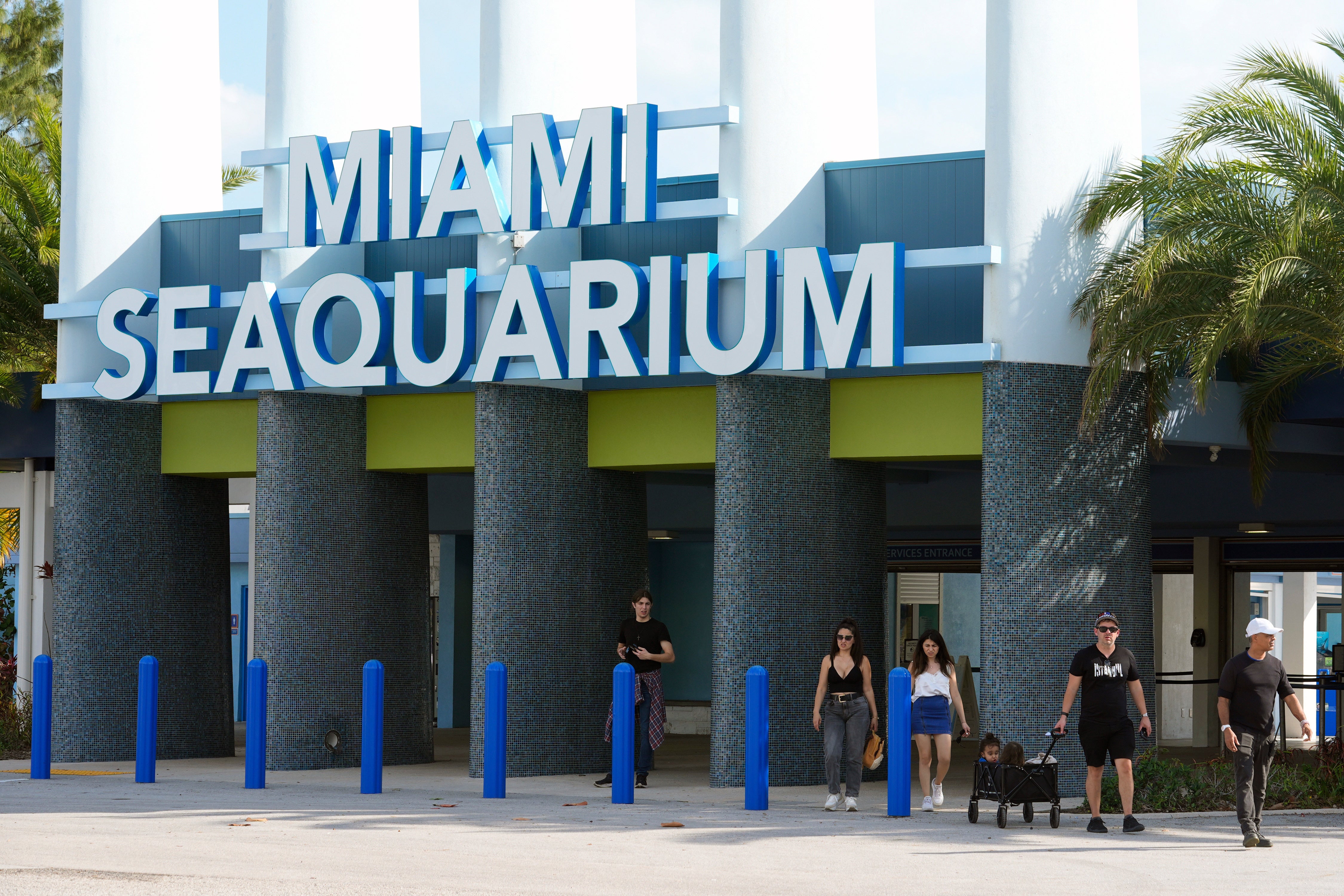 MIAMI-SEAQUARIUM