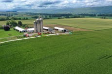 Departamento de Agricultura de EEUU reabre 2.100 oficinas para otorgar créditos a agricultores