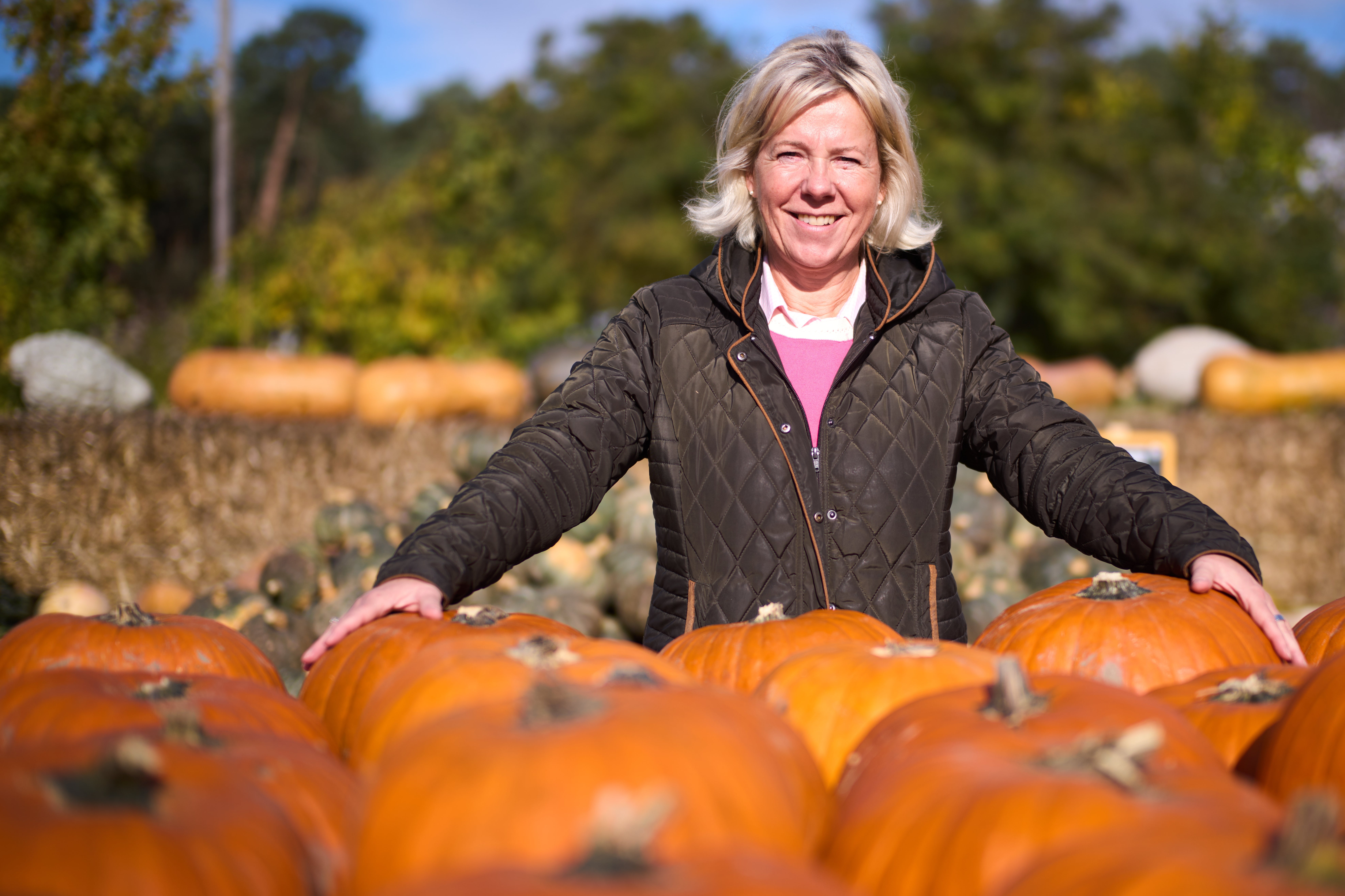 EUR-GEN ALEMANIA-CALABAZAS-FESTIVAL