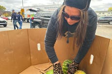 La administración Trump no usará fondo de contingencia para mantener la ayuda alimentaria SNAP