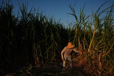 En una región agrícola de California, investigadores mapean calor rural para proteger a trabajadores