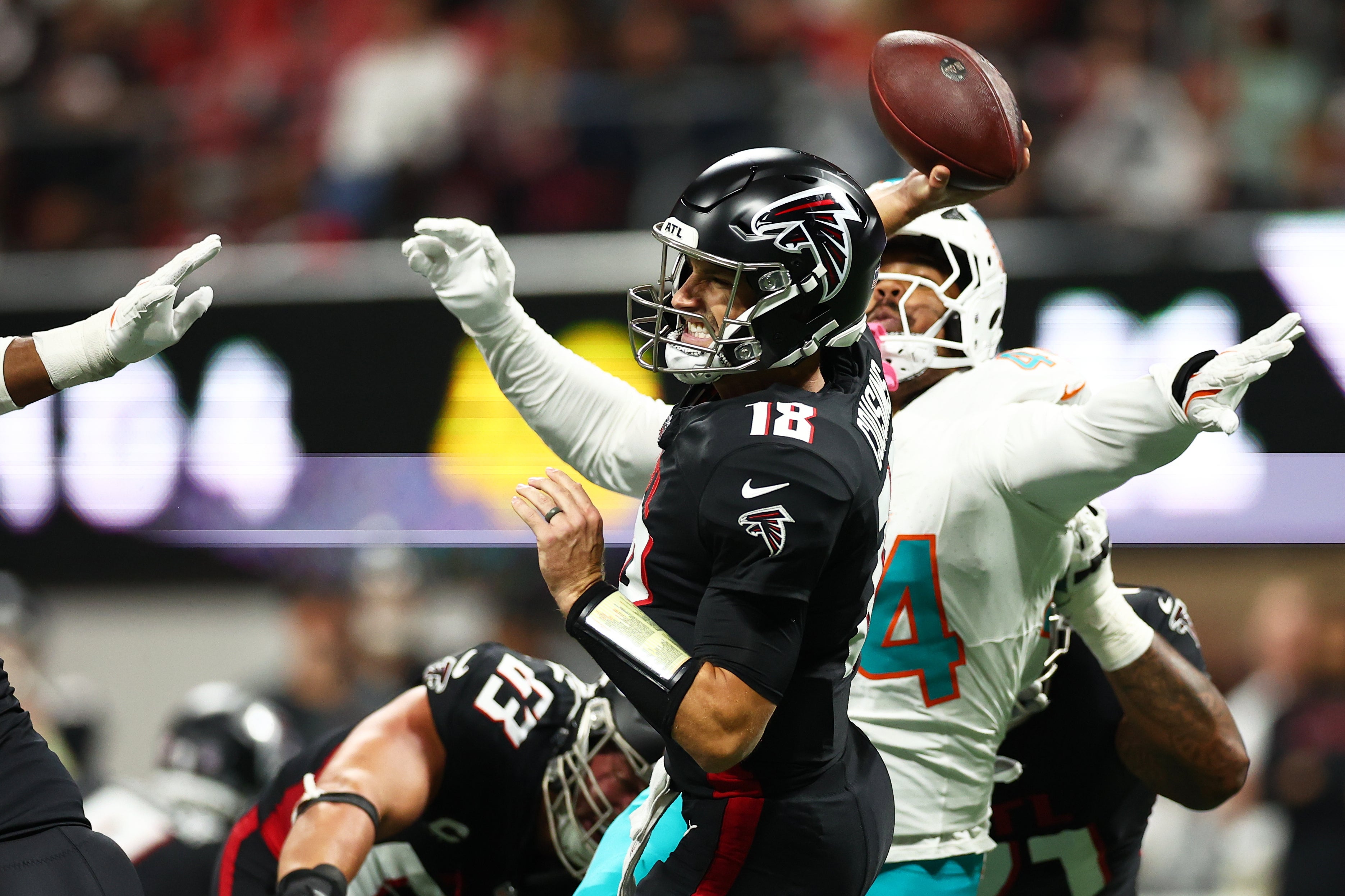DOLPHINS FALCONS