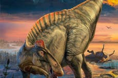 Hallan el fósil de gran dinosaurio más completo registrado hasta la fecha