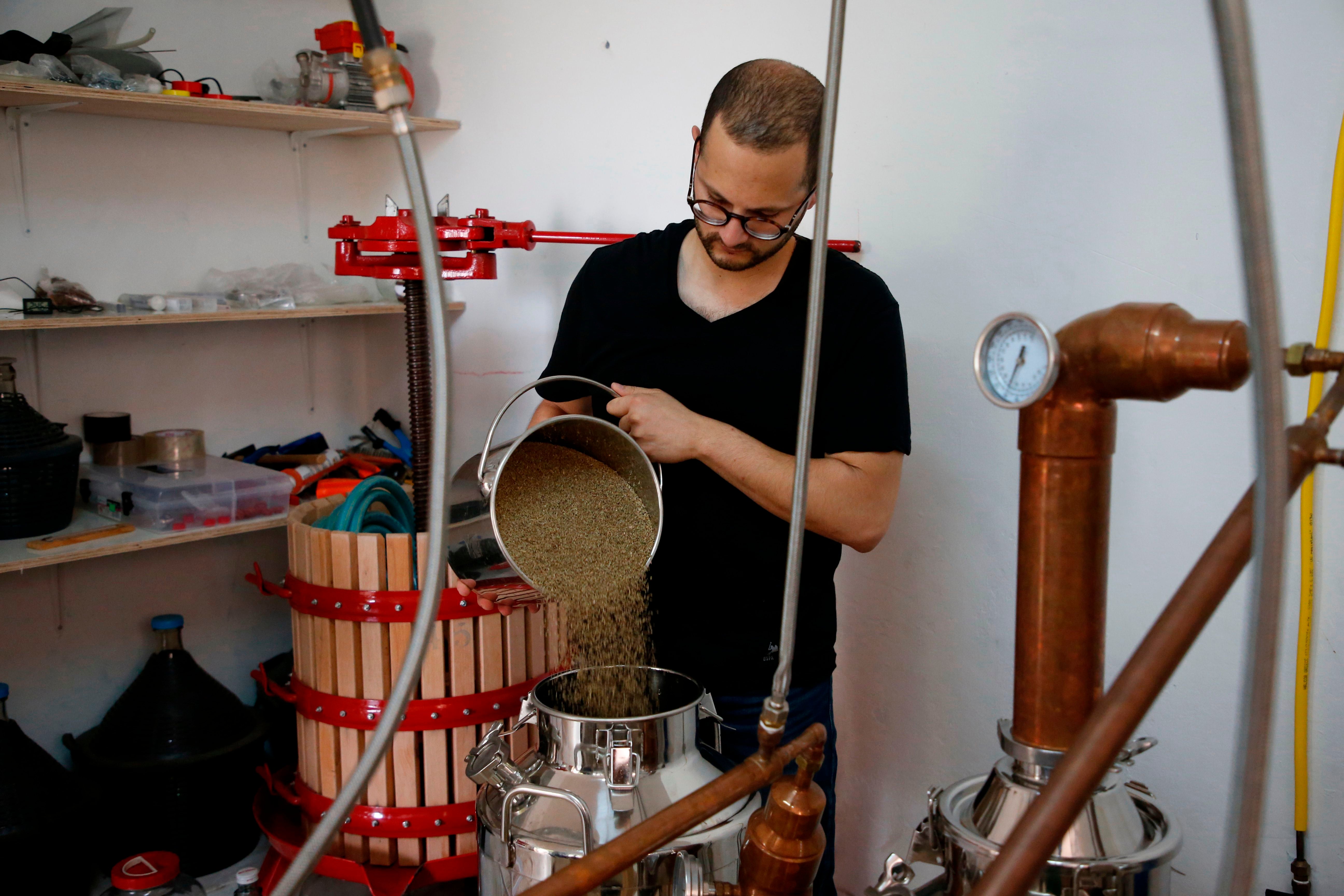 Muy utilizadas en la cocina asiática y europea, las semillas de anís se añaden a galletas navideñas y vino caliente especiado