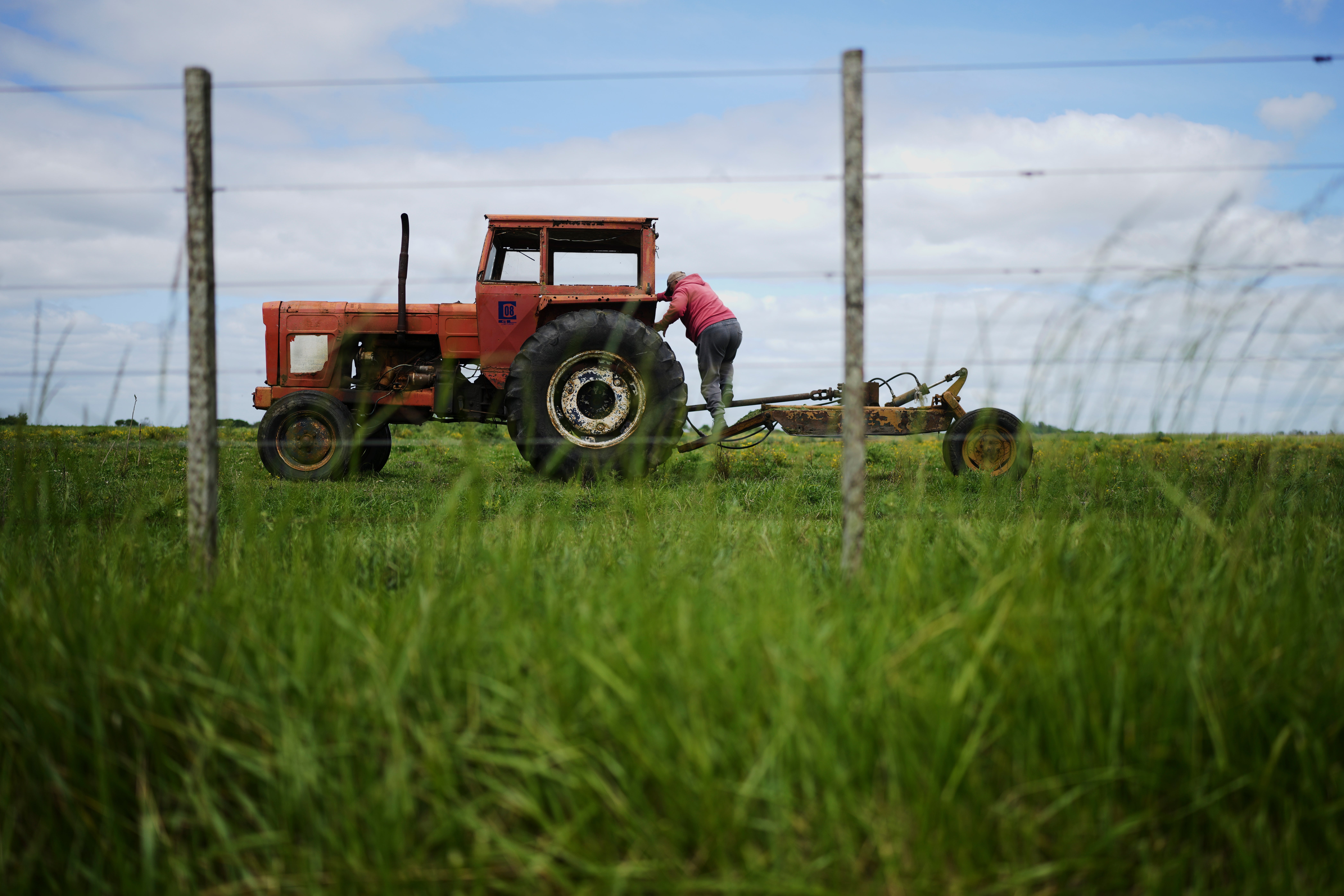 ARGENTINA-MILEI ELECCIONES