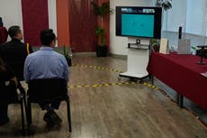 “Hay esperanza para que la vaquita sobreviva”: expedición mexicana avista ligeramente más ejemplares