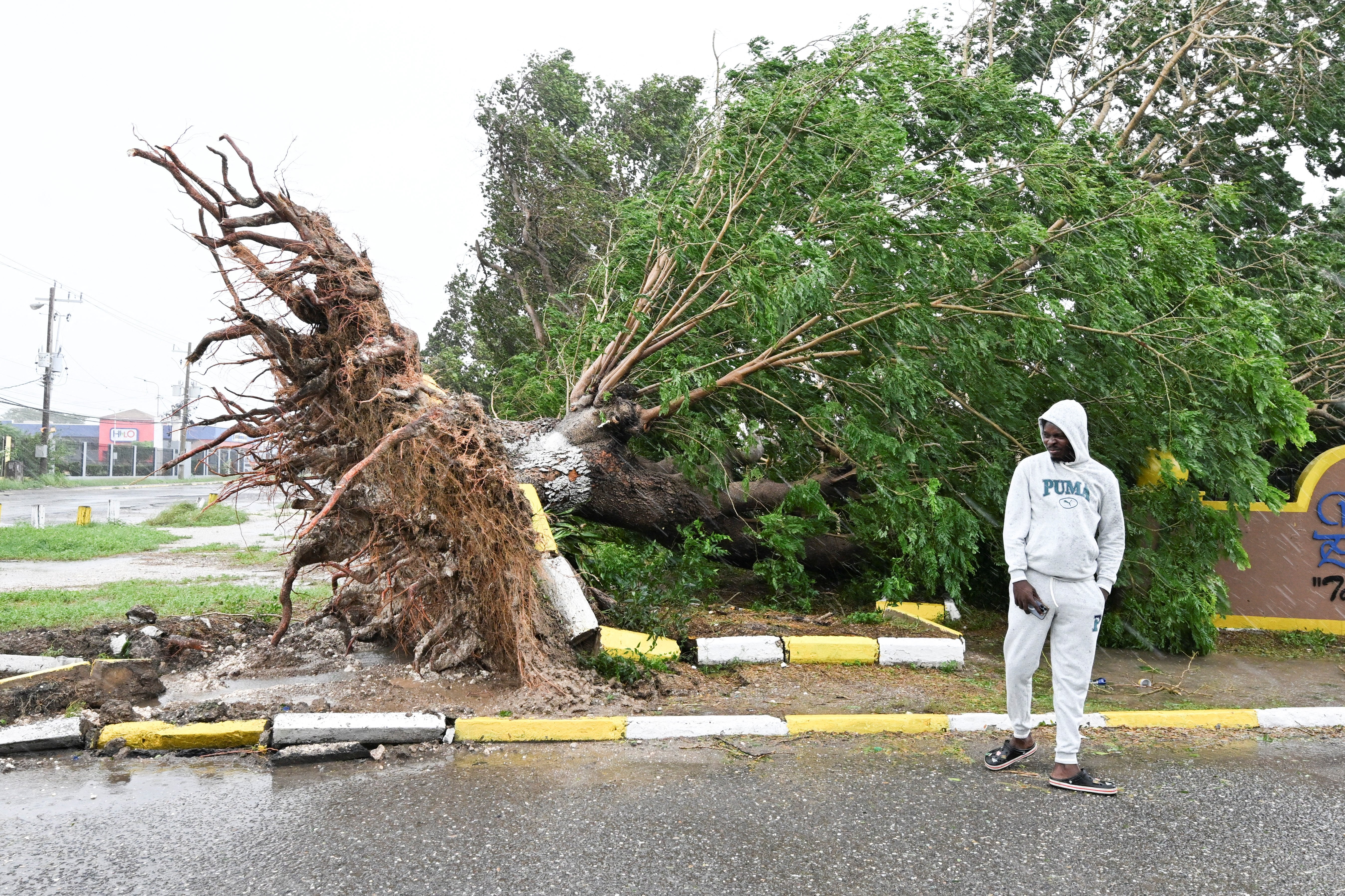 La tormenta causó daños generalizados y arrancó árboles en toda la isla