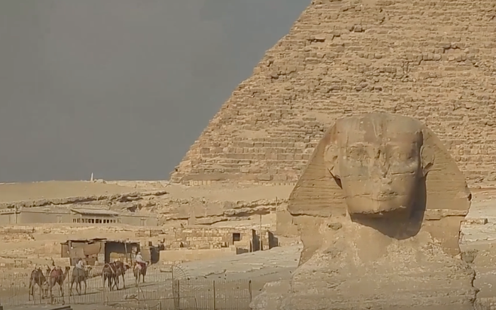 El grupo activista PETA ha instado a los turistas a evitar los paseos con animales en Egipto, que, según afirma, suelen ser abusivos (foto de archivo)