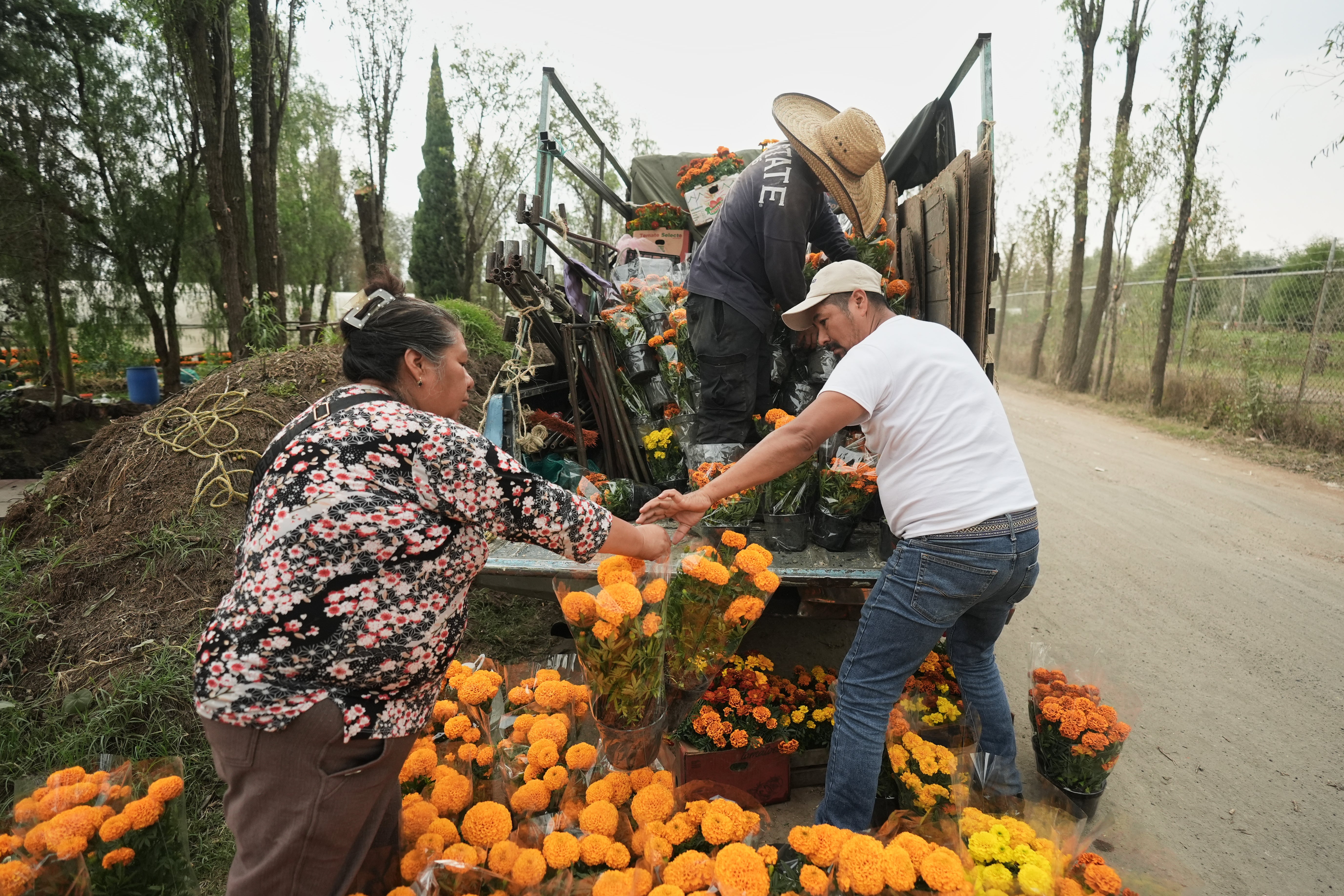 MÉXICO-DÍA DE MUERTOS
