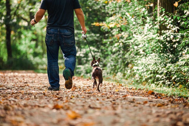 <p>Un hombre paseando a su perro </p>
