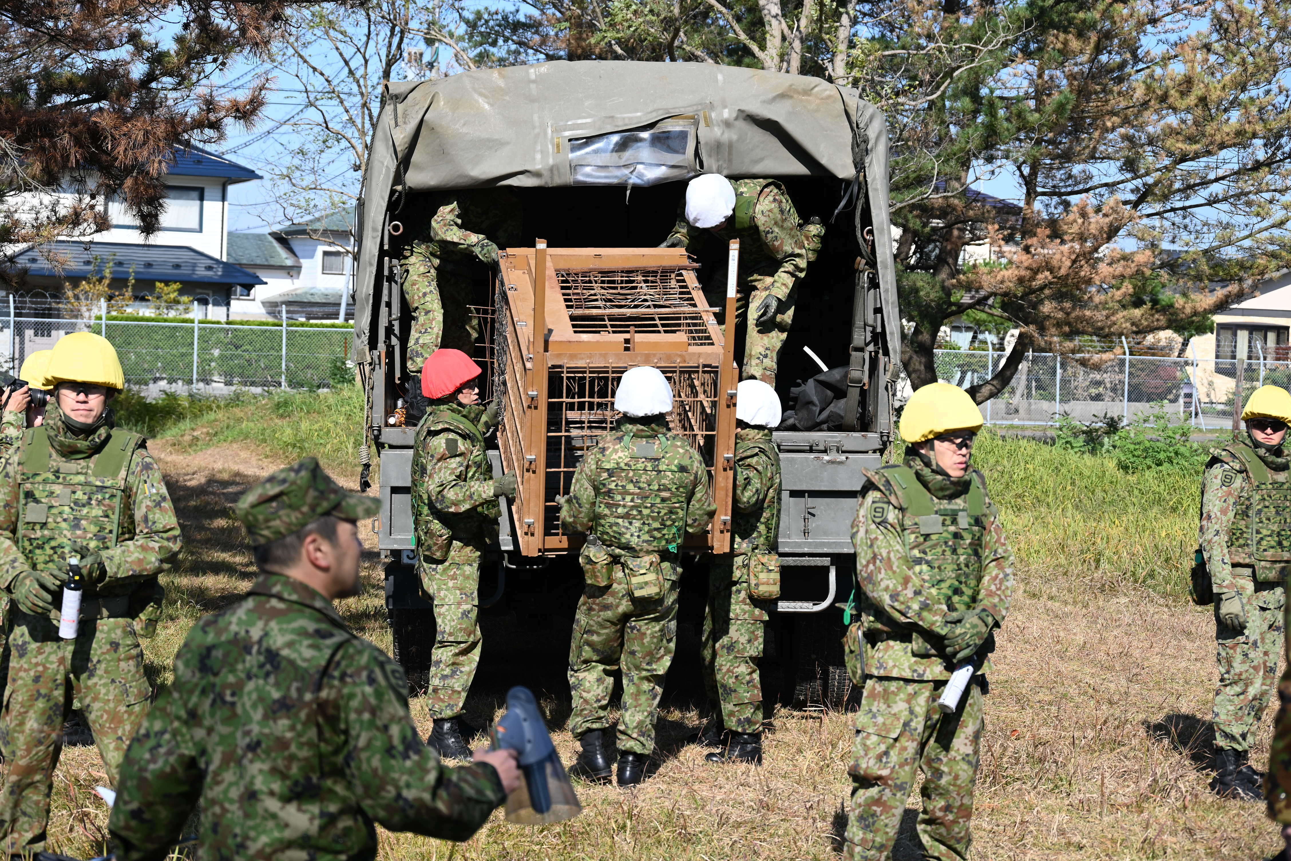 Soldados japoneses descargan una jaula para osos desde un camión en Akita