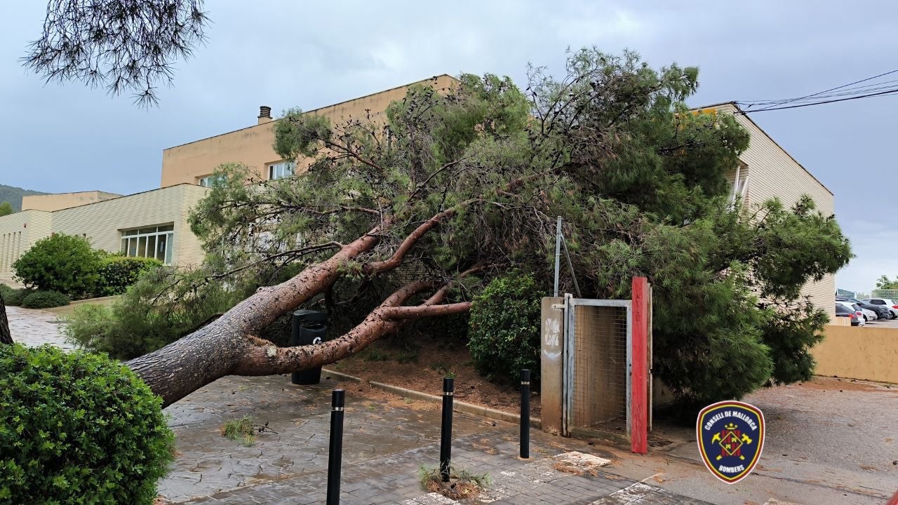 La caída de un árbol daña una casa durante una tormenta en Mallorca, una de las Islas Baleares