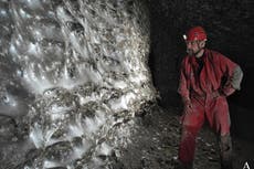 Descubren una megaciudad de arañas con un secreto extraordinario en su interior