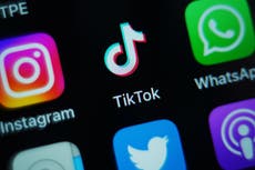TikTok permitirá filtrar “contenido basura” creado con IA