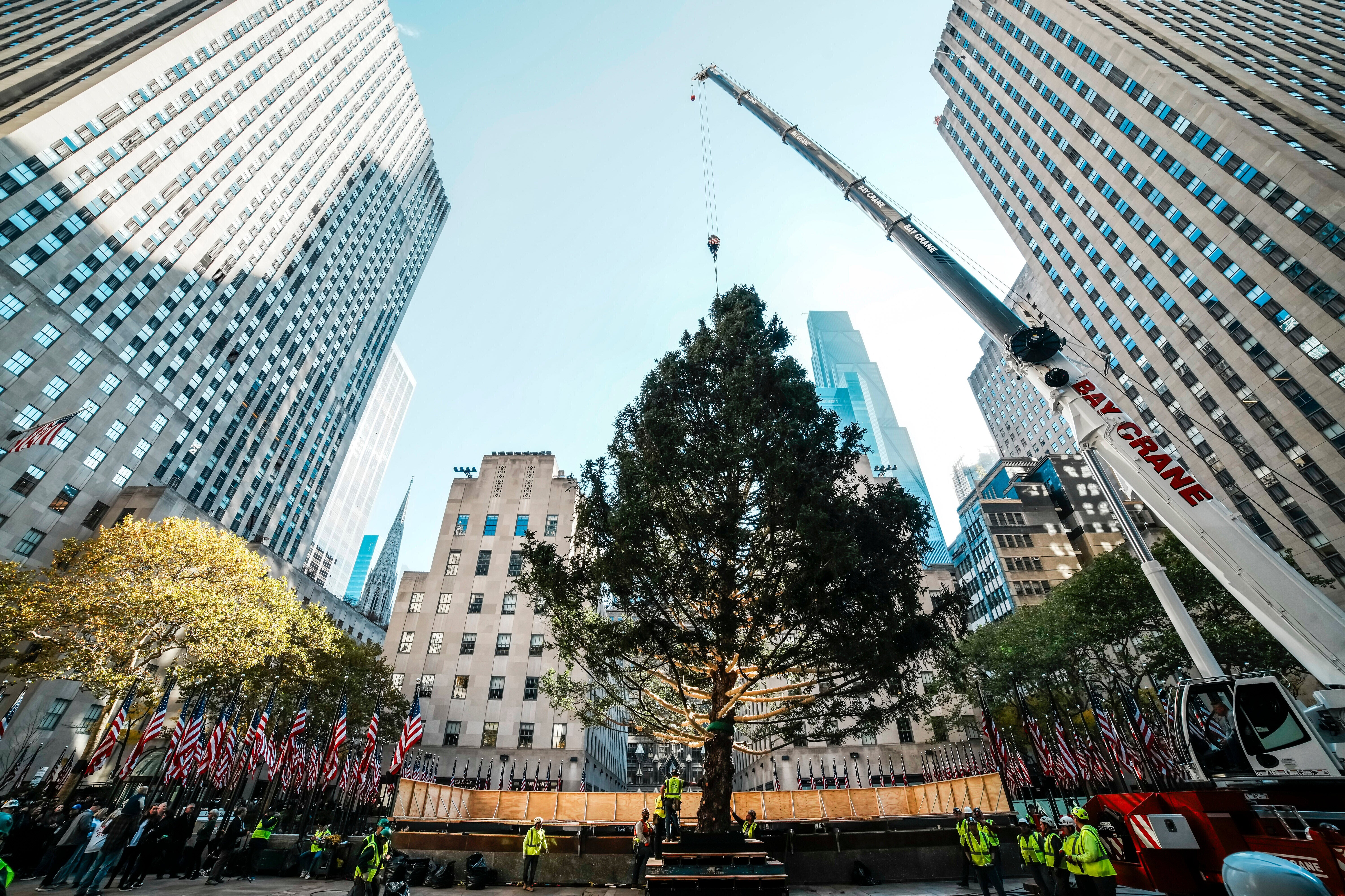 CENTRO ROCKEFELLER-ÁRBOL DE NAVIDAD
