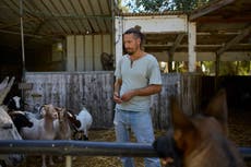 Programa ayuda a soldados israelíes a superar el trauma de la guerra