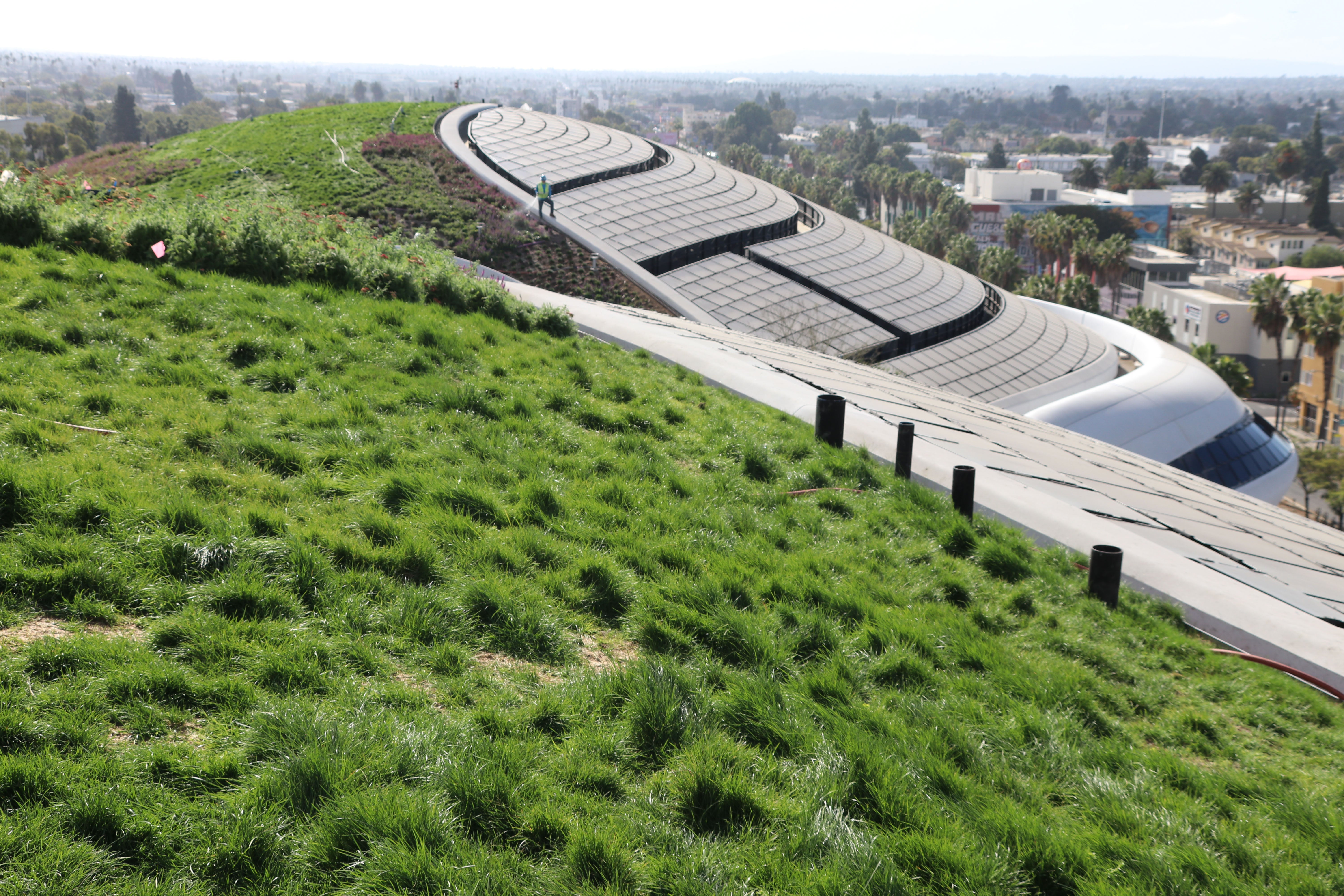 El edificio, de 28.000 metros cuadrados, se ubica en un entorno de árboles, jardines y senderos, y albergará lo que se describe como “una de las colecciones de arte narrativo más importantes del mundo”
