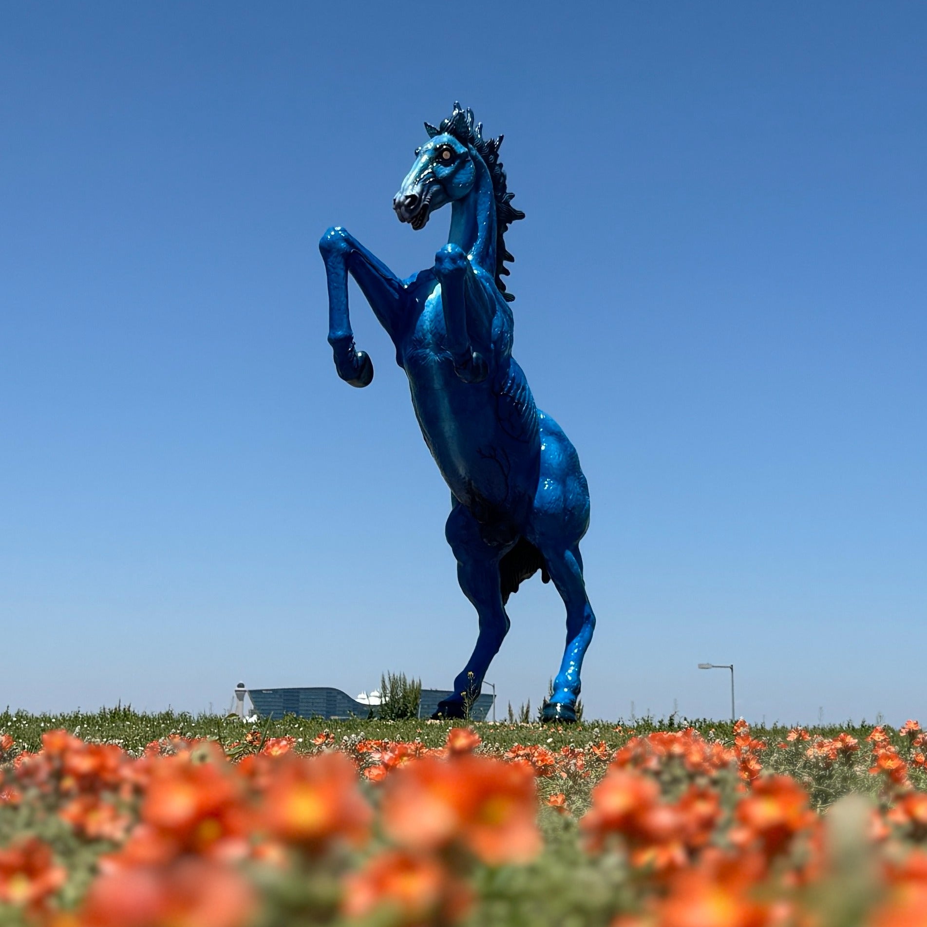 Incluso antes de entrar, el residente más infame del aeropuerto te saluda desde el lado de Peña Boulevard: un mustang azul cobalto de 9 metros de altura con ojos rojos brillantes