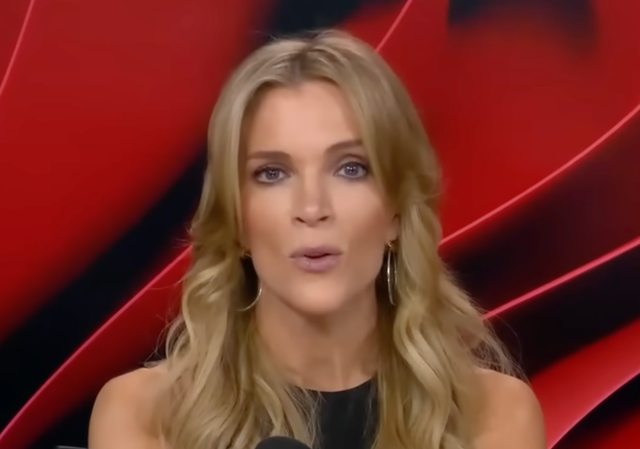 <p>La presentadora y comentarista Megyn Kelly ha afirmado que alguien cercano al caso Epstein cree que Jeffrey Epstein “no era un pedófilo”, porque abusó de chicas de 15 años y no de niñas más pequeñas</p>