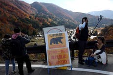 Ciudad de Japón publica avisos en 4 idiomas por riesgo de ataques de osos