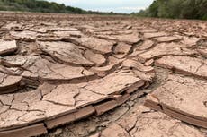 La sobreexplotación del río Bravo amenaza la seguridad hídrica en EEUU y México