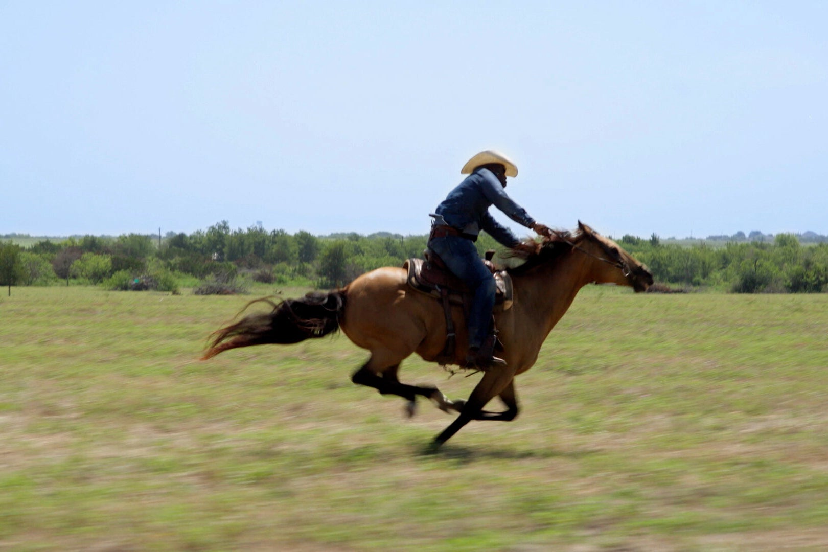 HIGH HORSE THE BLACK COWBOY