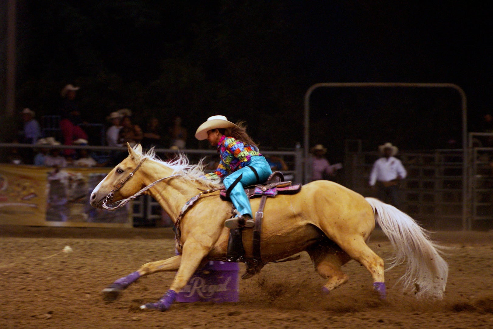 HIGH HORSE THE BLACK COWBOY