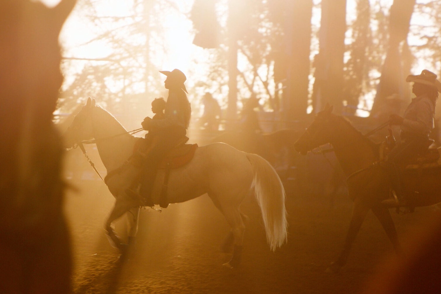 HIGH HORSE THE BLACK COWBOY