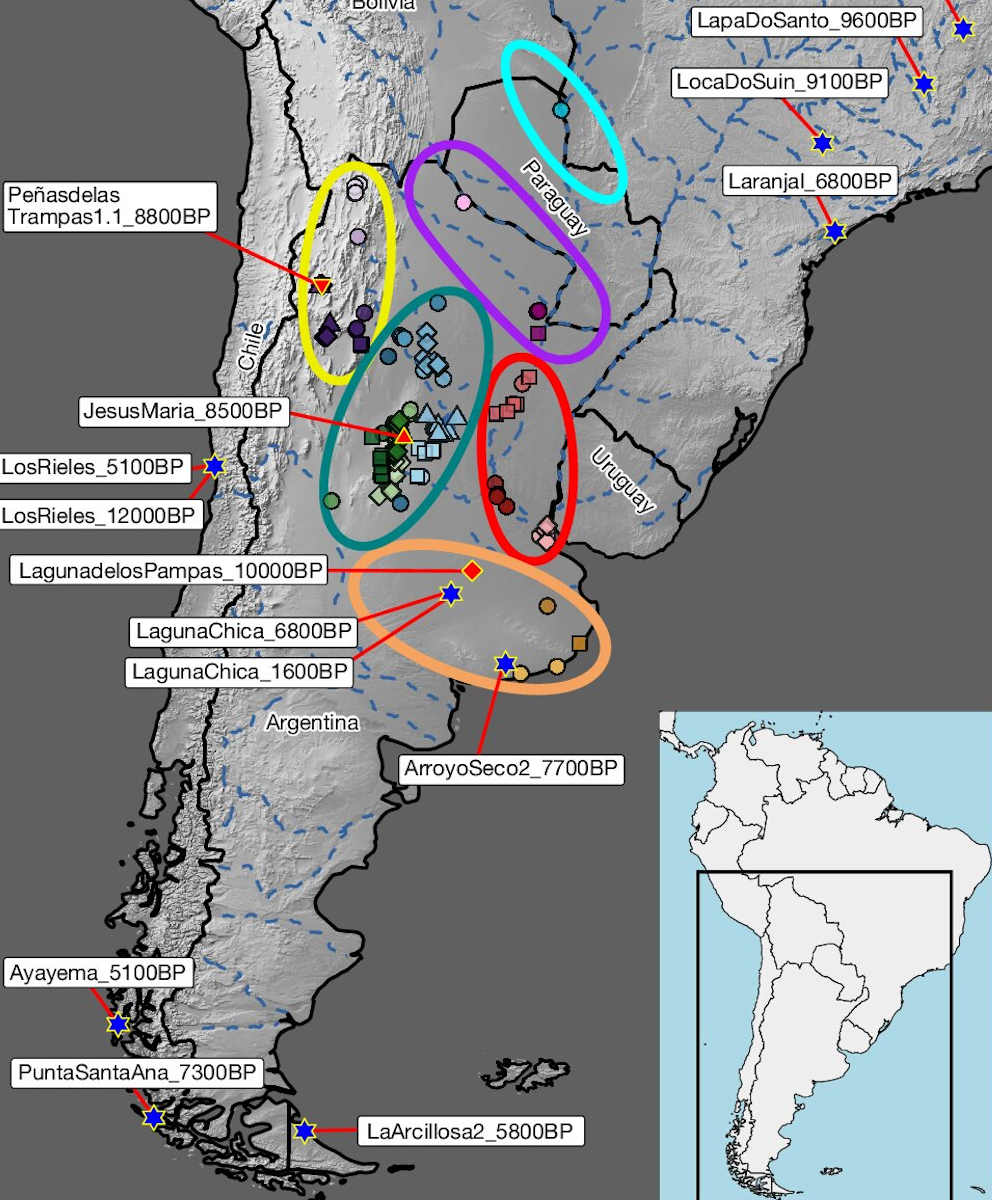 Se analizaron muestras de ADN humano antiguo procedentes de toda la zona central del Cono Sur de Sudamérica