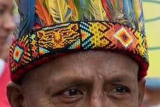 Identifican en Argentina un linaje humano desconocido hasta ahora