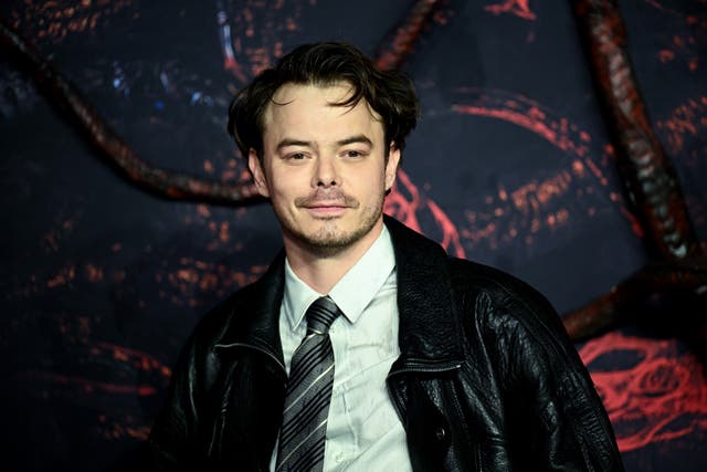 <p>Charlie Heaton interpreta a Jonathan Byers en Stranger Things de Netflix</p>