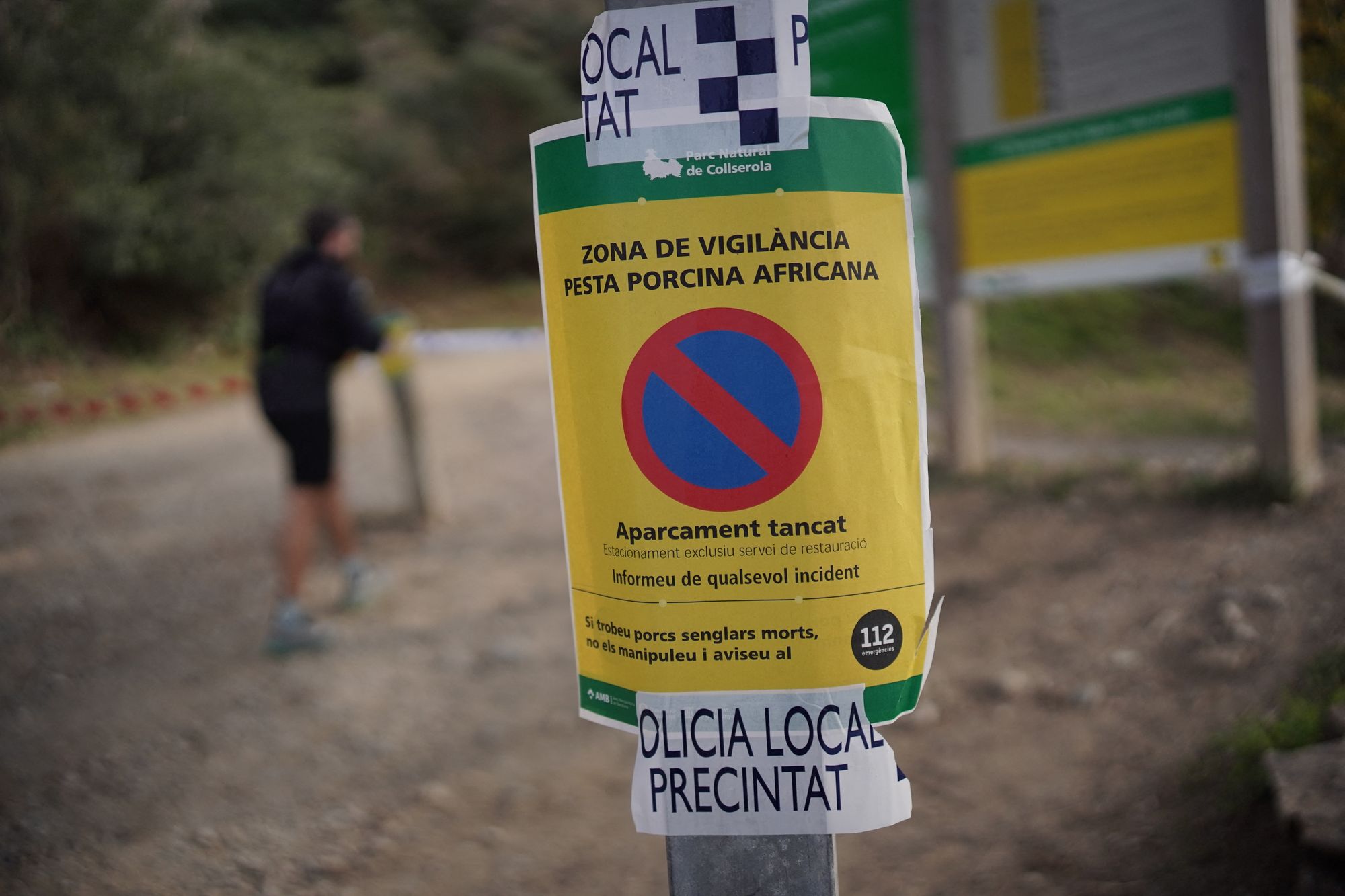 Un cartel de advertencia de la policía local con la leyenda “Zona de vigilancia de la peste porcina africana” colocado en un poste a la entrada del parque natural de Collserola, cerca de Barcelona