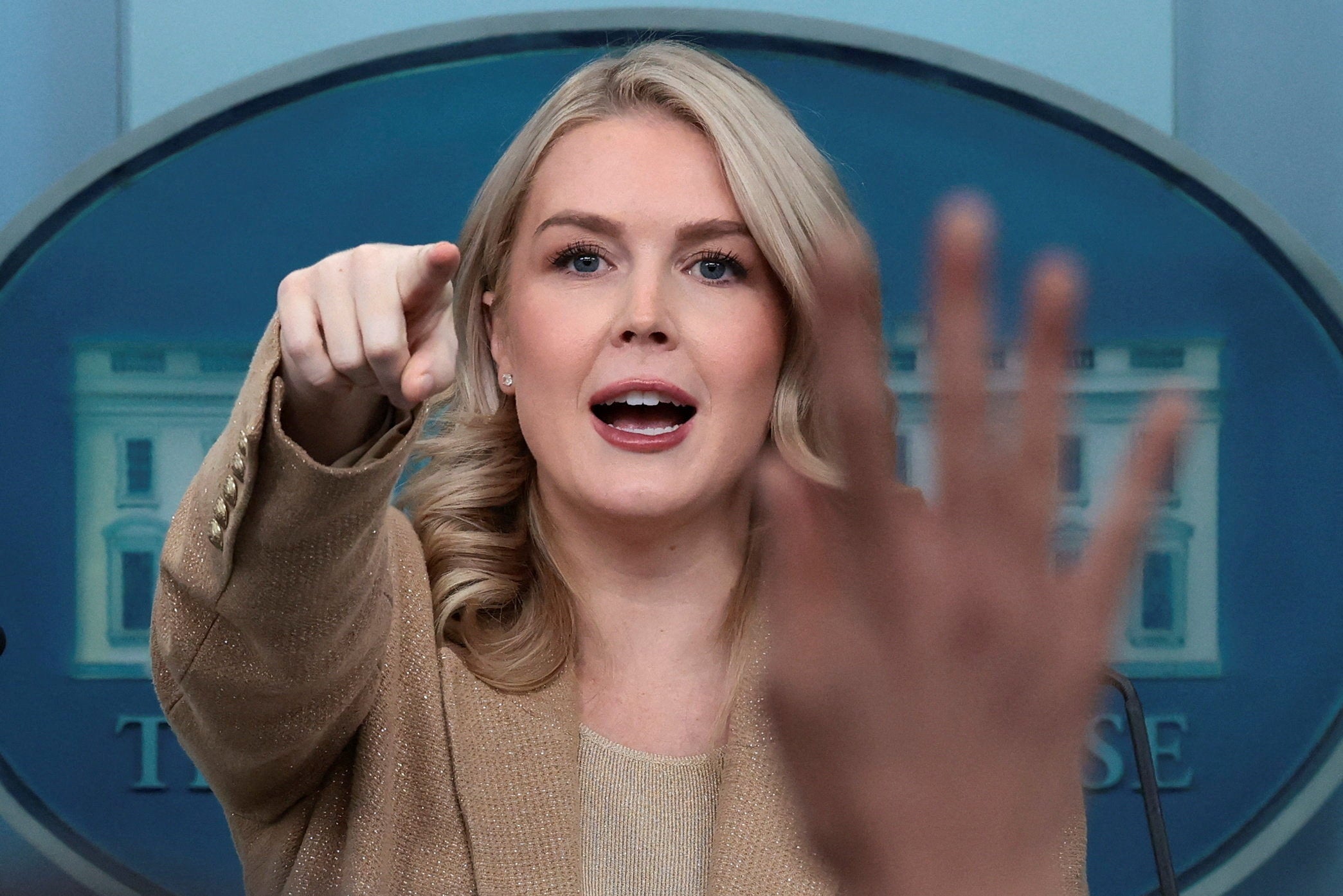 El Departamento de Seguridad Nacional anteriormente llamó a Ferreira una "inmigrante ilegal criminal"