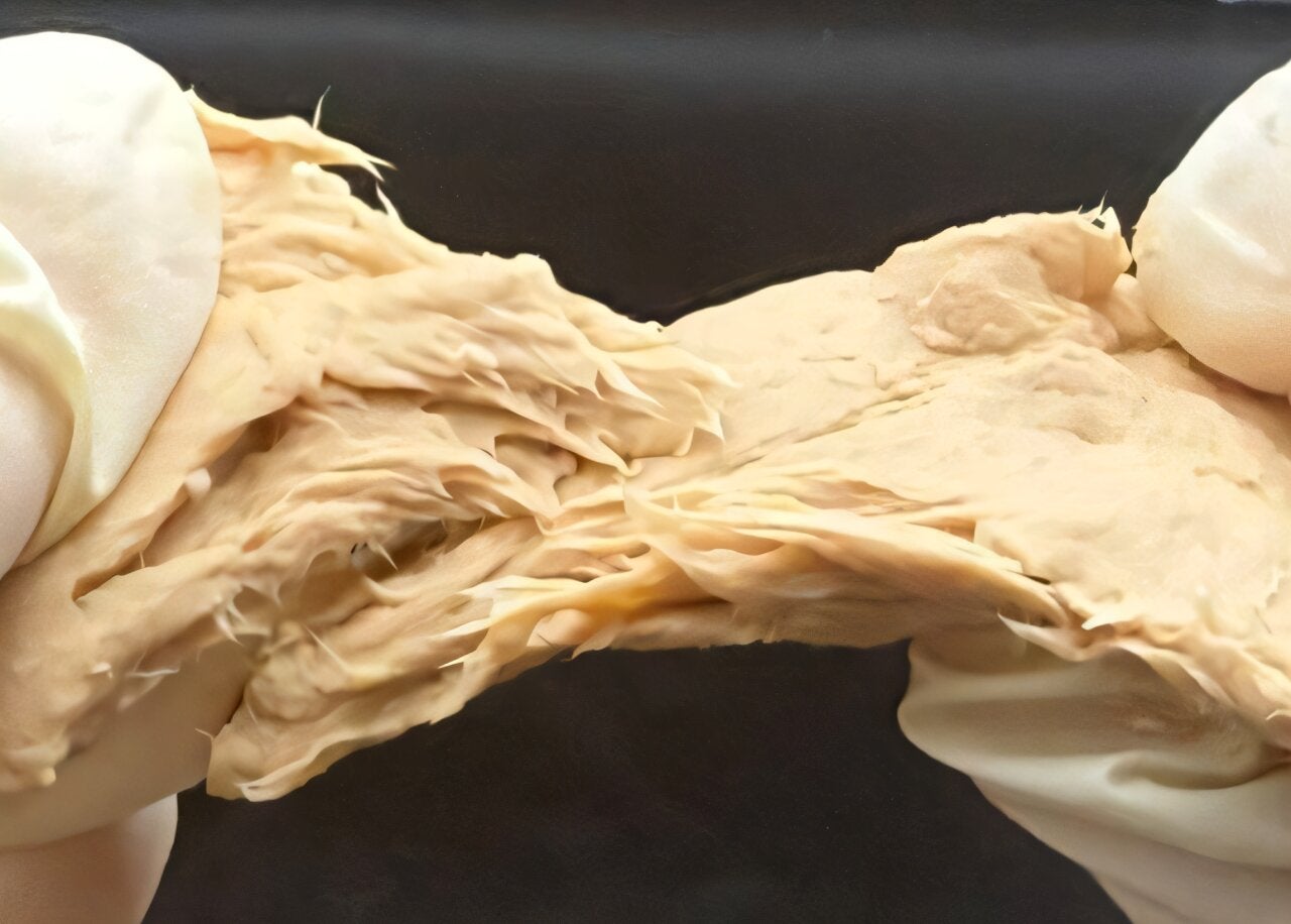 Hongo Fusarium venenatum modificado genéticamente