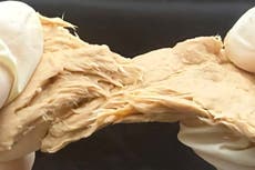 Crean “carne” de hongo que sería más barata que el pollo