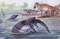 Un monstruo marino prehistórico de 12 metros pudo haber cazado en ríos