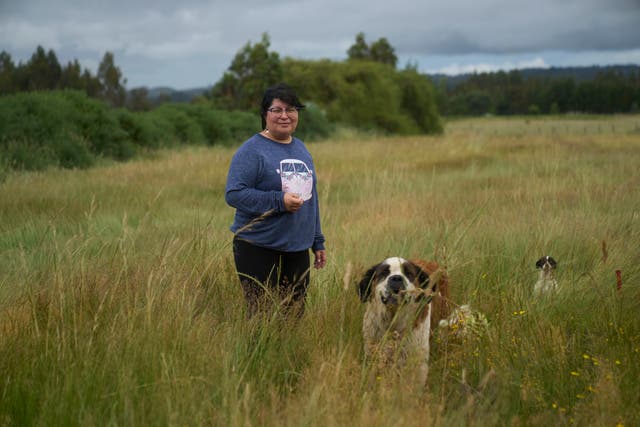 CHILE-ELECCIONES-MAPUCHES