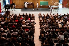 Los estudiantes británicos volverán al programa de intercambio Erasmus de la UE tras el Brexit