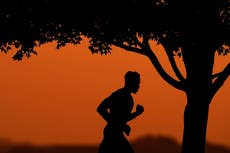 Comienza 2026 con hábitos saludables: Consejos fáciles para mejorar tu bienestar