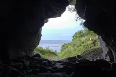 Adopción de lobos podría ser muy anterior a la evolución de los perros