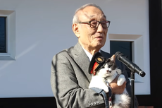 Nombran jefa de estación a gatita calicó en línea ferroviaria japonesa