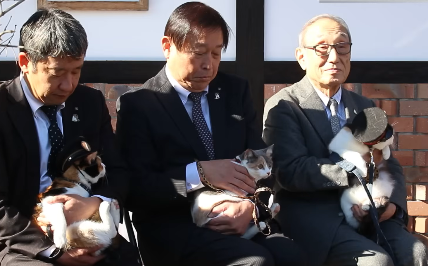 Yontama (derecha) ha sido nombrada oficialmente tercera jefa de estación felina de la estación de Kishi. Rokutama (centro), es la última gata en incorporarse a la línea como jefa de estación en entrenamiento