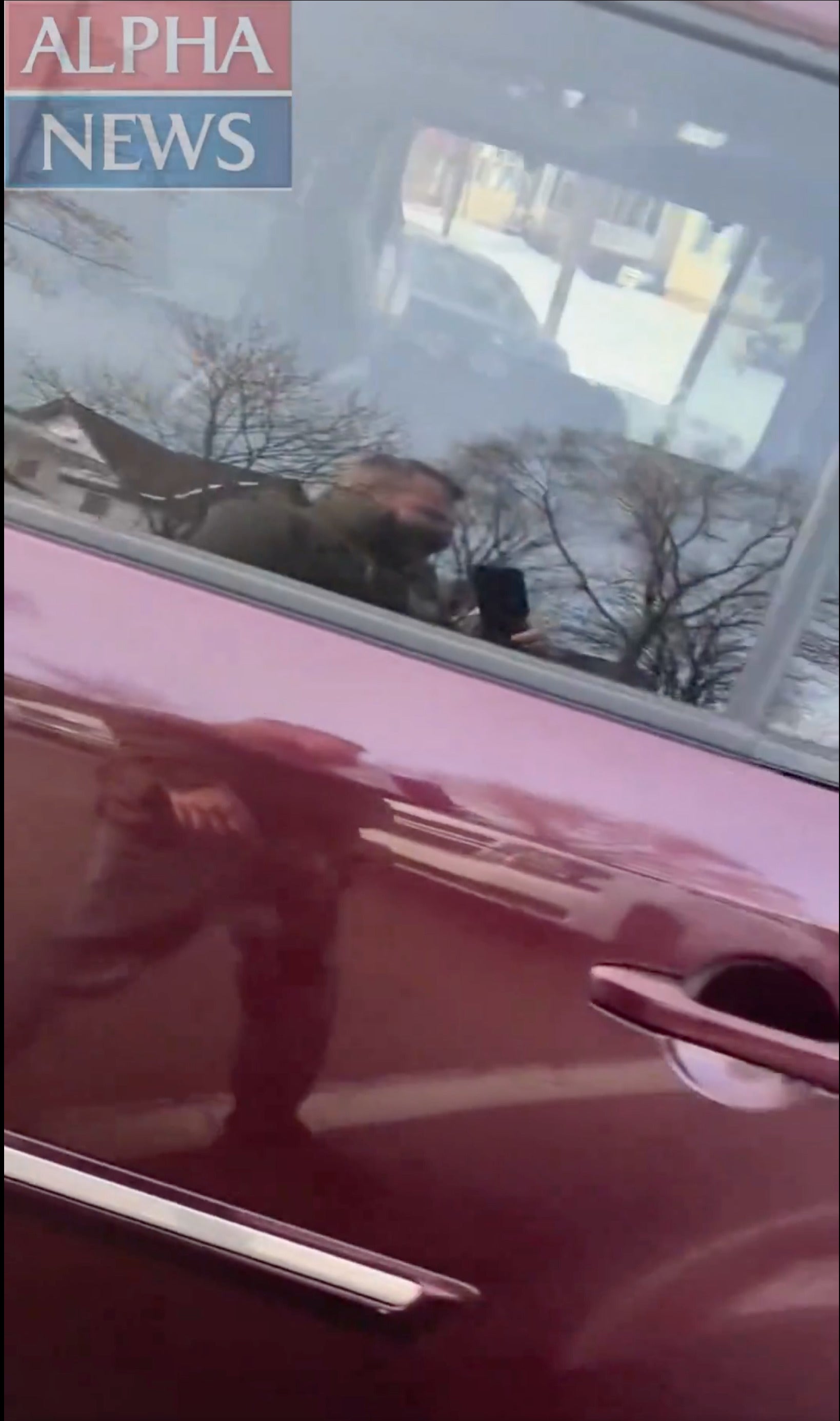 EEUU-REDADAS MIGRATORIAS-VIDEOS